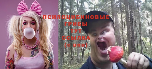 экстази Липки