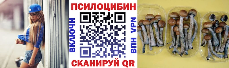Псилоцибиновые грибы GOLDEN TEACHER  Купить закладки  Анапа 